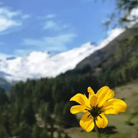 Gletscherbergblick Apartamento *