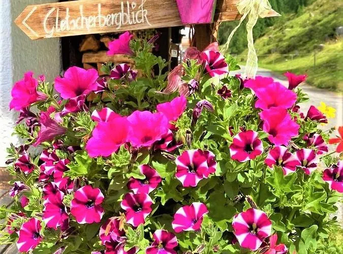 Gletscherbergblick Appartement