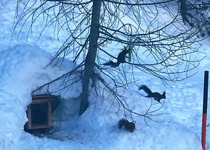 Gletscherbergblick Appartement *