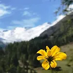 Gletscherbergblick Lejlighed *