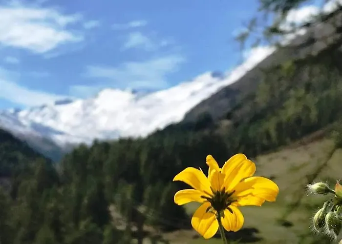 Gletscherbergblick Appartement *