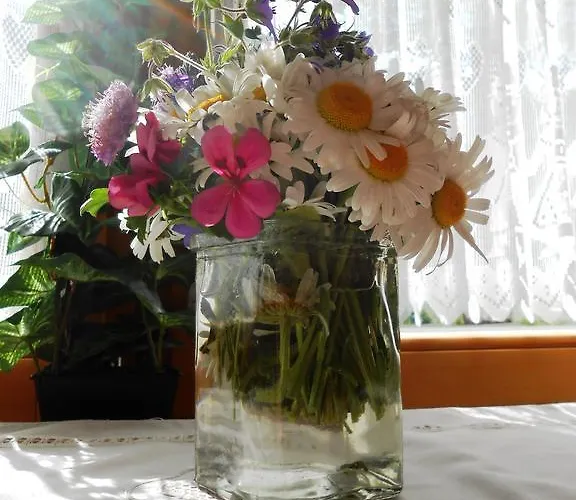 Gletscherbergblick Obergurgl