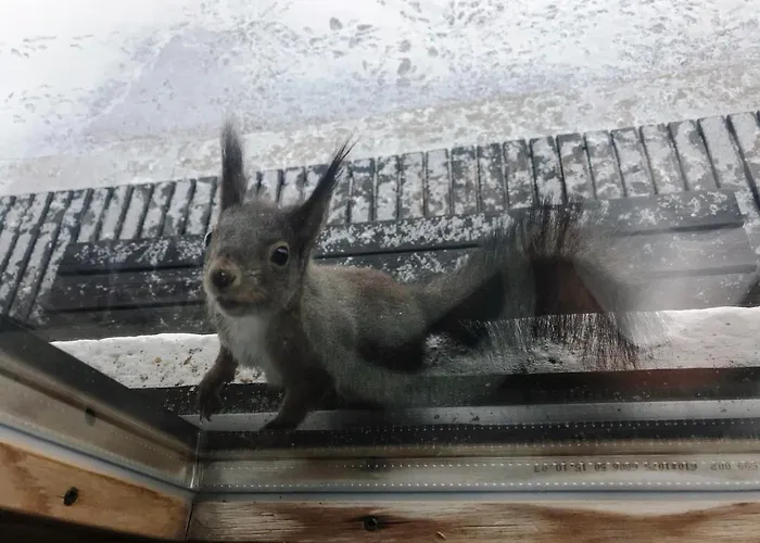 Gletscherbergblick *